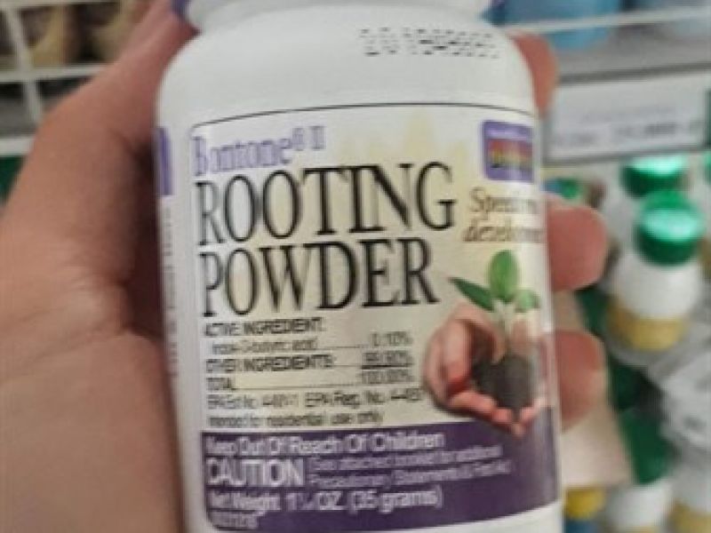 Rooting powder 